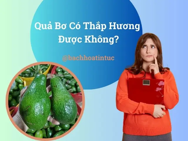 Bơ Có Cúng Được Không Bơ Có Cúng Được Không