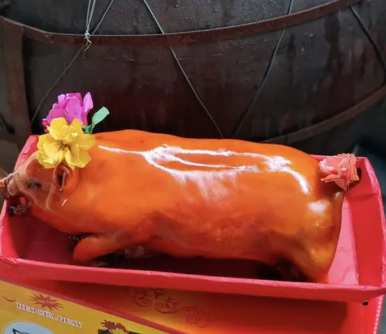 Heo Quay Sữa Cúng Heo Quay Sữa Cúng