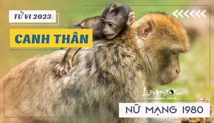 Tử Vi Canh Thân Nữ Mạng 2023