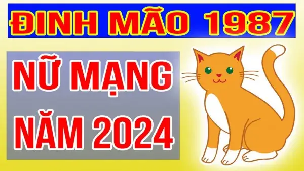 Tử Vi Tuổi Mão 1987 Năm 2024 Nữ Mạng Tử Vi Tuổi Mão 1987 Năm 2024 Nữ Mạng