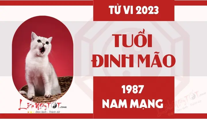 Tử Vi Tuổi Mão Năm 2023 Tử Vi Tuổi Mão Năm 2023