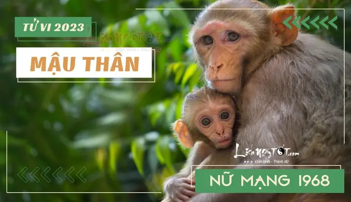 Tử Vi Tuổi Mậu Thân Năm 2023 Nữ Mạng
